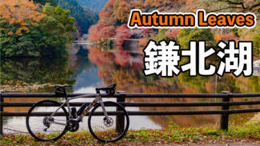 【サイクリング日記】鎌北湖の紅葉は最高だった！